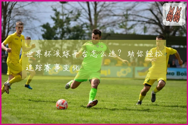 世界杯滚球平台怎么选？助你轻松追踪赛事变化