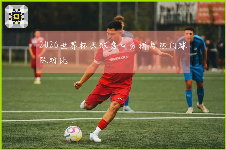 2026世界杯买球盘口分析与热门球队对比