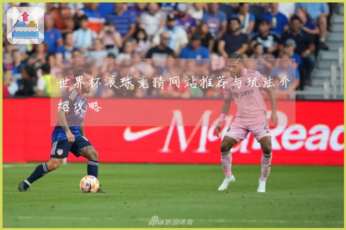 世界杯滚球竞猜网站推荐与玩法介绍攻略