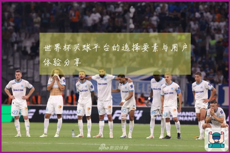 世界杯买球平台的选择要素与用户体验分享