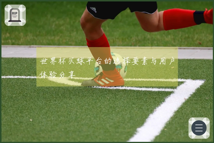 世界杯买球平台的选择要素与用户体验分享